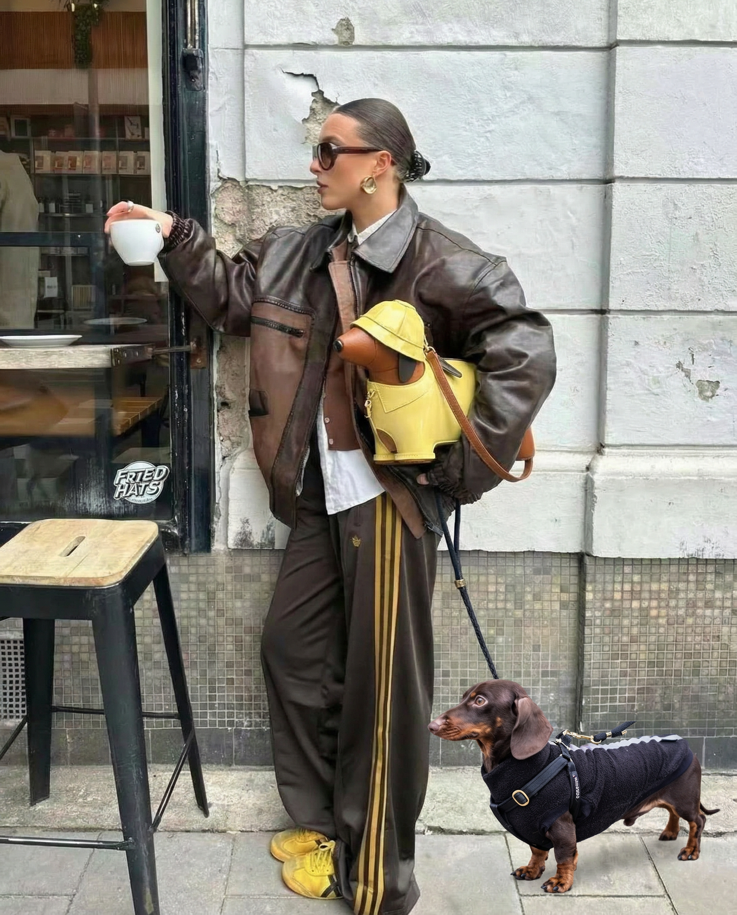 DACHSHUND BAG