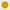 THE ROUNDIE YELLOW
